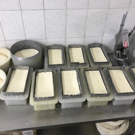 リバーサイドカラコル Bed & Breakfast エクステリア 写真